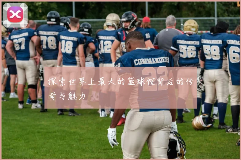 探索世界上最大的篮球馆背后的传奇与魅力