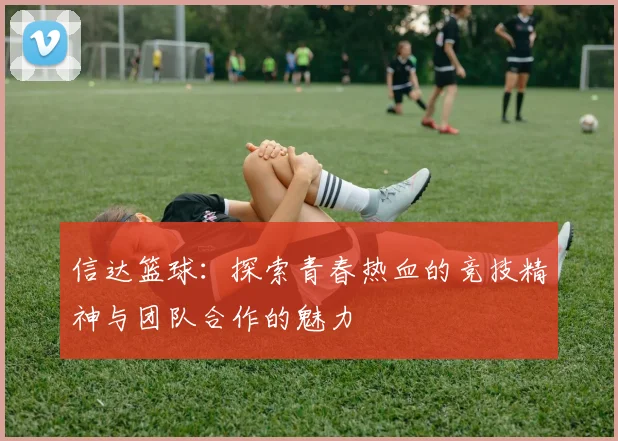 信达篮球：探索青春热血的竞技精神与团队合作的魅力